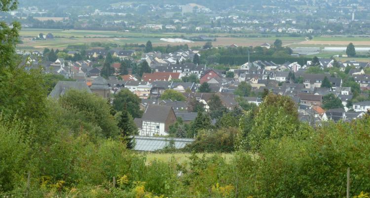 FDP-Alfter
